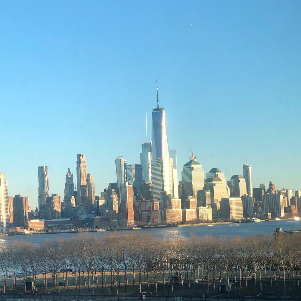 Meet your Posher, Rose